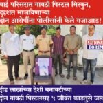 वाई परिसरात गावठी पिस्टल मिरवुन, दहशत माजविणाऱ्या दोन आरोपींना पोलीसांनी केले गजाआड, दीड लाखांच्या देशी बनावटीच्या दोन गावठी पिस्टलसह 5 जीवंत काडतुसे जप्त